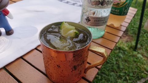 110-95(9-9)高原の里101