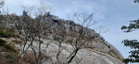 236-219(25-24)大崩山1104_135505