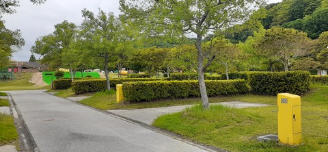212-196(1-1)竜王山公園AC520_101931