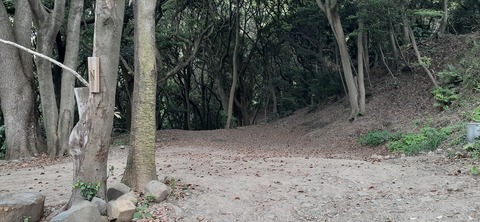 213-197(2-2)レムブランベースC527_133338