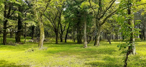 206-190(48-47)吉無田高原緑の村430_135930