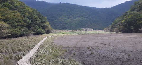 274-254(11-10)坊がツル①906_113447