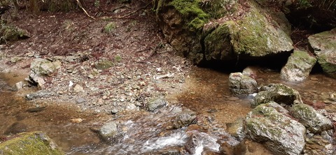 202-186(44-43)八木山渓流公園326_093411