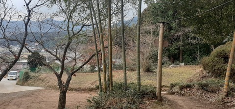 193-177(35-34)峰やしき204_121709