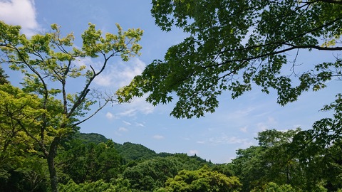 49-39鯛生金山キャンプ場275