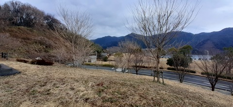 134-119(33-33)ドラゴンキャンプ場29_121621