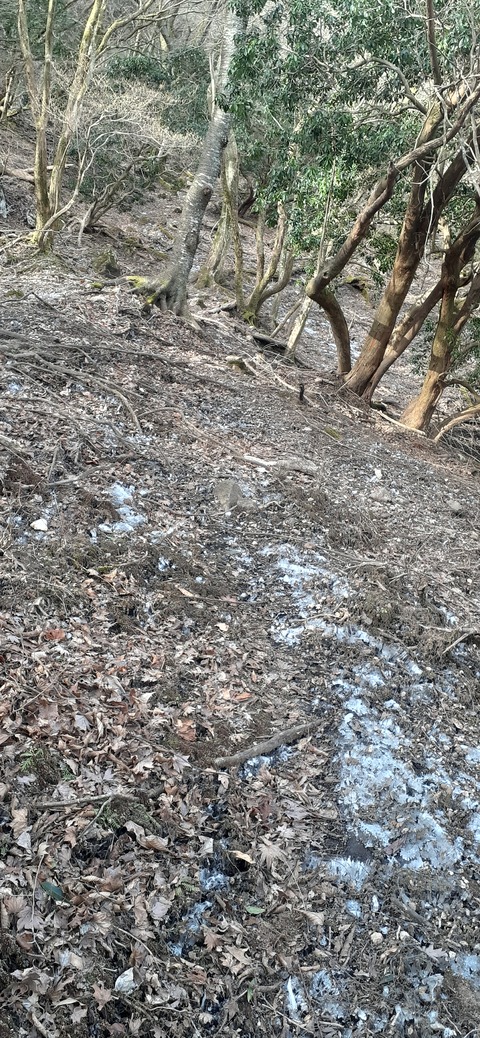 251-232(40-37)伽藍岳ゲリラキャン303_090645