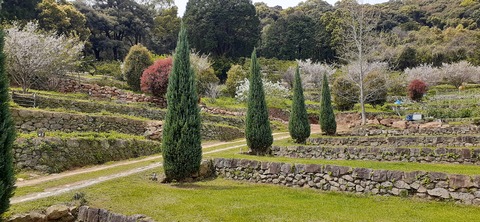 149-134(48-48)橘香園2_122333