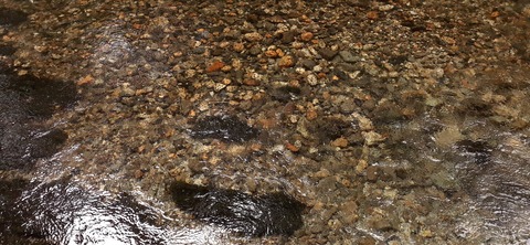 271-251(8-7) 上高地穂高岳813_145001
