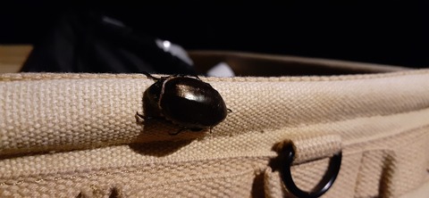 168-153(10-10)阿蘇ファンタジーの森806_222129