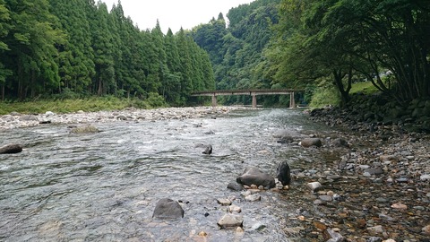 Dキャンプ久住カワセミ公園32