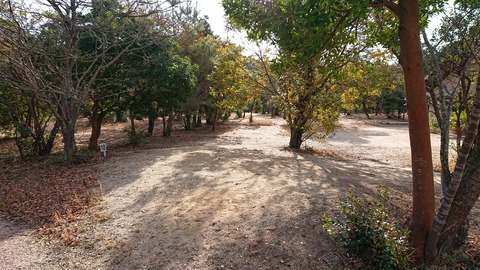 74-61(29-25)千防川砂防公園キャンプ場720