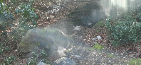 251-232(40-37)伽藍岳ゲリラキャン303_092849