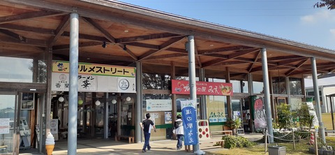 236-219(25-24)祝子川キャンプ場1105_105710