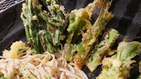 41-33茶屋の原キャンプ場811S