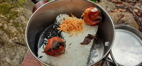 202-186(44-43)八木山渓流公園326_080823