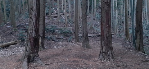 193-177(35-34)峰やしき204_121505