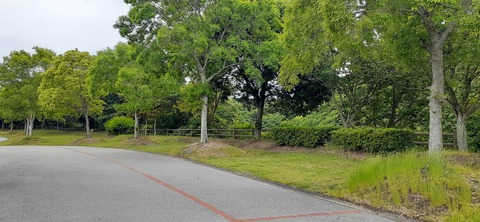 212-196(1-1)竜王山公園AC520_101125