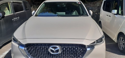 251-232(40-37)大坂山障子ヶ岳218_140501