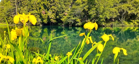 208-192(50-49)奥霧島御池キャンプ村502_083505