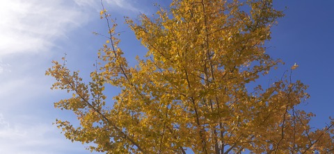 237-220(26-25)るるパーク1111_130843