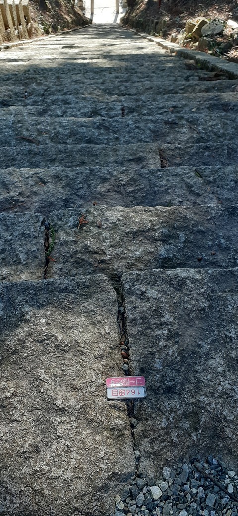 251-232(40-37)大坂山障子ヶ岳218_133554