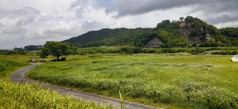 163-148(5-5)津志田河川自然公園6_104532