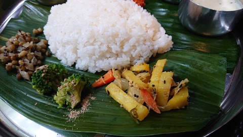 33-26萩阿武川温泉キャンプ場379