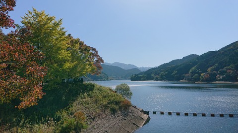 124-109(23-23)英彦山野営場189