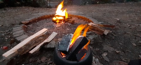 133-118(32-32)中ノ島公園172404