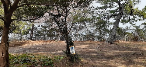 203-187(45-44)長崎鼻リゾートキャンプ場401_131106