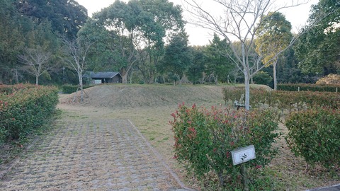 31-24糸ヶ浜海浜公園177