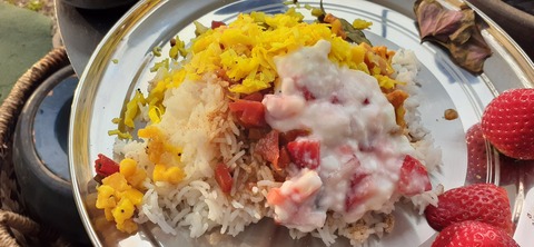 203-187(45-44)長崎鼻リゾートキャンプ場402_070510