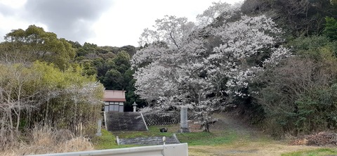 148-133(47-47)霜降山キャンプ場27_101035