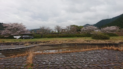 91,92-77,78(46,47-41,42)阿武川河川公園222S