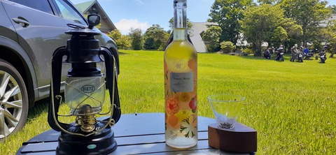 164-149(6-6)長野山緑地公園702_121720