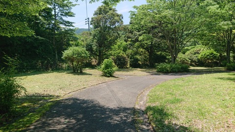 49-39鯛生金山キャンプ場279