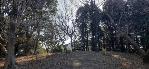 251-232(40-37)大坂山障子ヶ岳218_083201