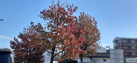 242-225(31-30)トゥーリキャンプサイト1202_130237