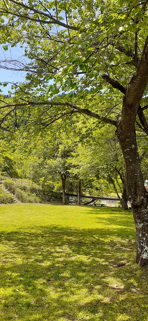 158-143(57-57)陽目の里キャンピングパーク507_124611