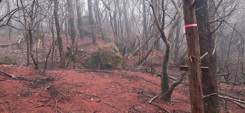 251-232(40-37)法華院温泉山荘2泊目223_120853