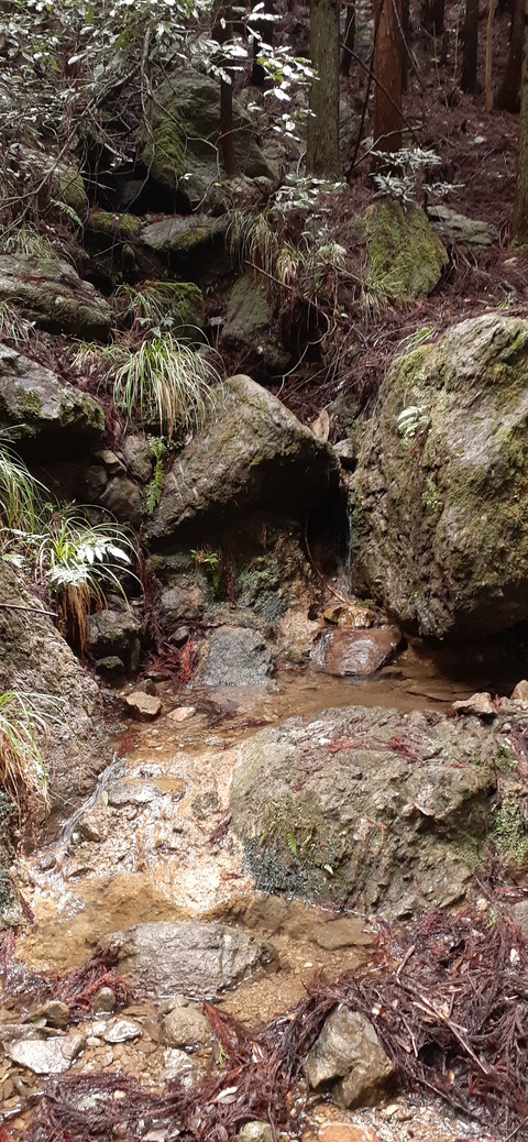 202-186(44-43)八木山渓流公園325_105540