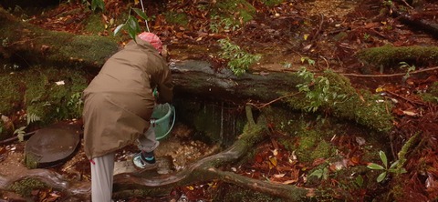 260-241(49-46)宮之浦岳淀川小屋501_075038