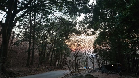 88-74(43-38)昭和の森一本松サイト888