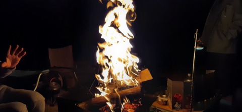 194-178(36-35)ゴンドーシャロレー⑨211_223435