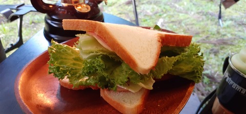 211-195(53-52)猿ヶ城キャンプ場505_182531