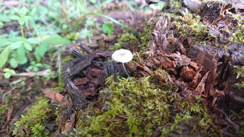 105-90(4-4)福岡某所563