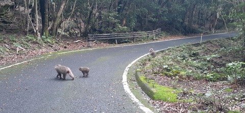 258-239(47-44)オーシャンビュー429_140909