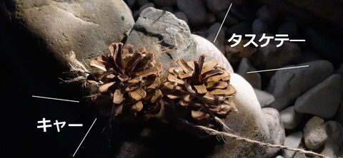 189-173(31-30)大島加代海岸104_065000R