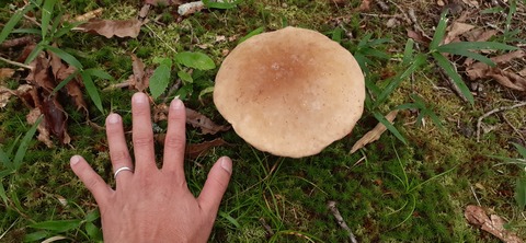 172-157(14-14)くじゅう自然動物園903_170835